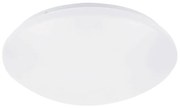 Rabalux 71132 - LED Stropné svietidlo so senzorom LUCAS LED/12W/230V IP44 4000K RL71132