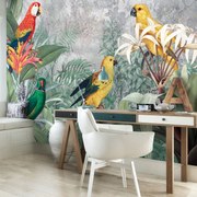 Fototapeta - Papagáje (254x184 cm)