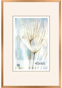 Fotorám 40x60, Quadro/11