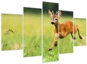 Obraz - Srnček (150x105 cm)