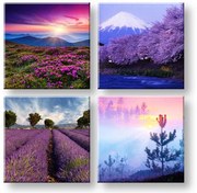 Obraz na stenu Everywhere purple | rôzne rozmery