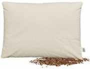 Pohánkový vankúš, 40 x 60 cm, 40 x 60 cm