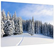 Obraz - Zima v lesoch (70x50 cm)