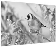 Obraz - Vtáčik v zime (90x60 cm)