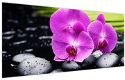 Obraz - Orchidey (120x50 cm)