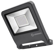 Ledvance - LED Reflektor ENDURA LED/50W/230V IP65 P224450