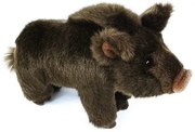 Rappa Plyšové prasa divoké, 20 cm
