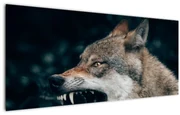 Obraz vlka (120x50 cm)