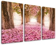 Obraz na stenu STROMY | rôzne rozmery