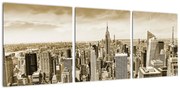 Panorama New York, obraz