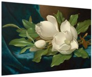 Obraz - Martin Johnson Heade, Giant Magnolias on a Blue Velvet Cloth, reprodukcia (90x60 cm)
