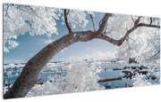 Obraz zasneženého stromu pri vode (120x50 cm)