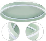 Toolight Toolight, LED stropné svietidlo 40cm, 4000 lm, 22W, 4000K, APP1463, zelená, OSW-08641