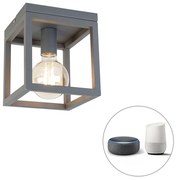 Priemyselné inteligentné stropné svietidlo tmavosivé vrátane Wifi G95 - Cage