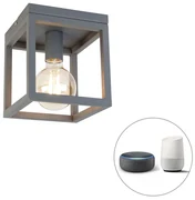 Priemyselné inteligentné stropné svietidlo tmavosivé vrátane Wifi G95 - Cage