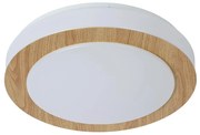 Lucide 79179/12/72 - LED Stropné kúpeľňové svietidlo DIMY LED/12W/230V