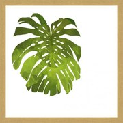 Rámovaný obraz Nordic Style 30x30 FAP435