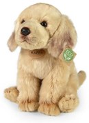 Rappa Plyšový labrador sediaci, 27 cm ECO-FRIENDLY
