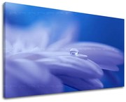 Obraz na stenu KVETY | rôzne rozmery