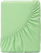 4Home jersey prestieradlo Ideál zelená, 200 x 200 cm
