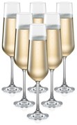 TESCOMA poháre na šampanské GIORGIO 6 x 200 ml