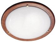 Rabalux 5427 - Stropné svietidlo UFO 2xE27/60W/230V