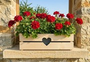 AMADEA Drevený obal na kvetináč so srdcom biely, 52x21,5x17cm Český výrobok
