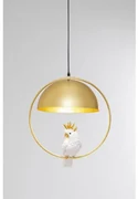 Animal Cockatoo visiaca lampa