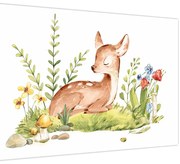 Obraz - Malý srnček (90x60 cm)