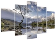 Obraz rieky za stromom (150x105 cm)