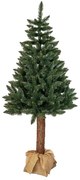 Smrek na kmeni 190 cm