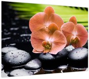 Obraz - Oranžová orchidea s palmovými listami (70x50 cm)