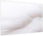 Obraz - Detail pierka (90x60 cm)