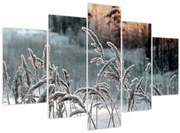 Obraz - Zamrznutá lúka (150x105 cm)