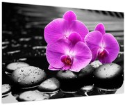 Obraz - Fialové orchidey (90x60 cm)