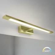 Nástenné LED svietidlo Klimt, 1x LED 12w, 3000-6000k, (60 cm), g