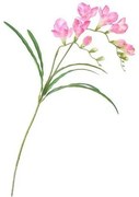 Umelá kvetina Frézia ružová, 57 cm