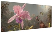 Obraz - Martin Johnson Heade, Cattleya Orchid and Three Hummingbirds, reprodukcia (120x50 cm)