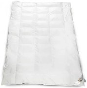 Termop Perová prikrývka LUXUS Špeciál - 140x200 cm - 100% prachové perie, 900g