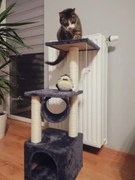 Domček pre mačky so škrabacou vežou