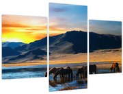 Obraz - Napájadlo (90x60 cm)