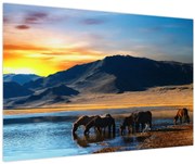 Obraz - Napájadlo (90x60 cm)