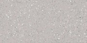 Dlažba Rako Porfido sivá 60x120 cm mat / lesk DASV1811.1