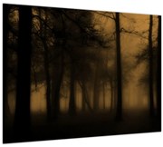 Obraz - Temný les (70x50 cm)