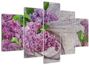 Obraz - Orgován (150x105 cm)