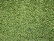 Umelá tráva Sophia New