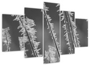 Obraz - Mrazivá zima (150x105 cm)