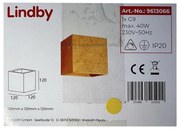 Lindby - Nástenné svietidlo YADE 1xG9/20W/230V LW0670