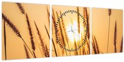 Obraz - Traviny na slnku (s hodinami) (90x30 cm)