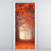 Fototapeta na dvere - Jesenný les (95x205cm)